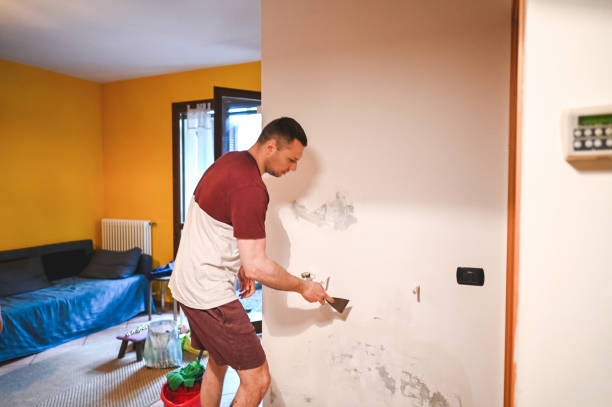 Best Home Mold Removal  in Overton, TX